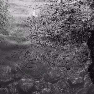 免费看毛片网站
